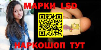 гидра Долгопрудный