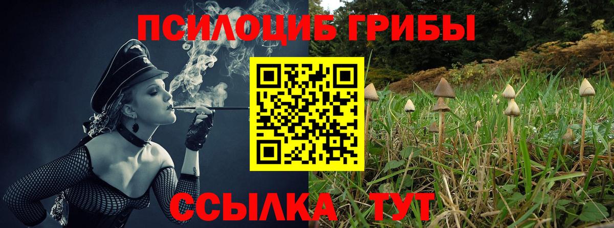 Галлюциногенные грибы Magic Shrooms  Вход с VPN  Бугуруслан 